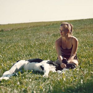 Bilder Niemand ist bei den Kälbern