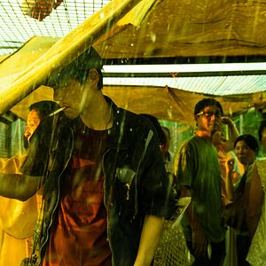 Bilder Are You Lonesome Tonight?