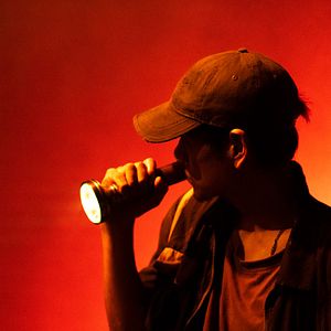 Bilder Are You Lonesome Tonight?