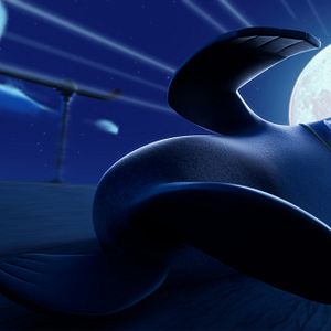 Bilder Das Seehund-Team