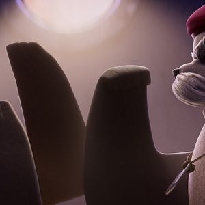 Bilder Das Seehund-Team