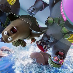 Bilder Das Seehund-Team