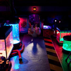 Bilder Das Seehund-Team