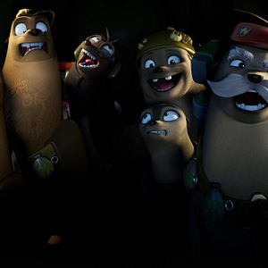 Bilder Das Seehund-Team