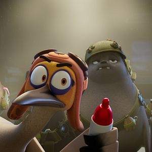 Bilder Das Seehund-Team