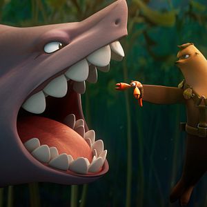 Bilder Das Seehund-Team