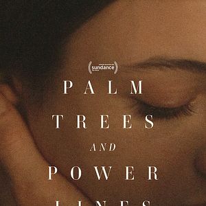 Bilder Palm Trees and Power Lines