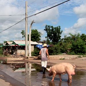 Bilder Voices of Transition