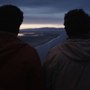 Bilder Der ganz große Fang