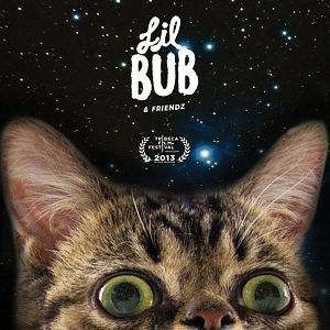 Bilder Lil Bub & Friendz