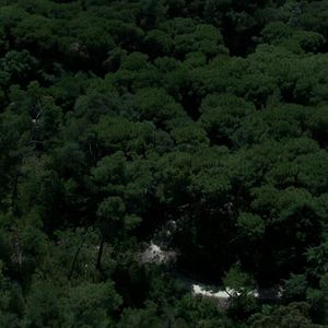 Bilder Terra de ninguém