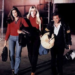 Bilder Kesse Bienen auf der Matte