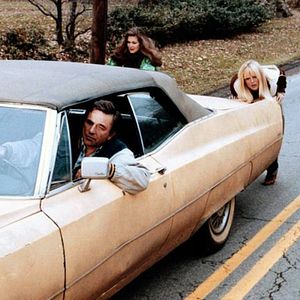 Bilder Kesse Bienen auf der Matte