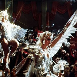 Bilder Kesse Bienen auf der Matte