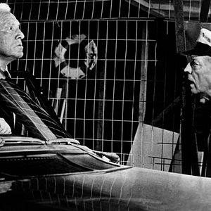 Bilder Eine total, total verrückte Welt