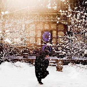 Bilder The Grandmaster