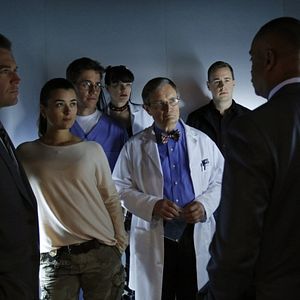 Bilder Pauley Perrette