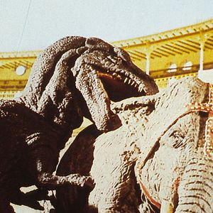 Bilder Gwangis Rache