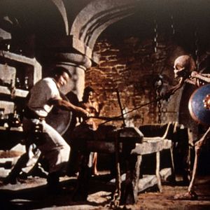 Bilder Sindbads 7. Reise