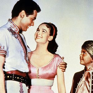 Bilder Sindbads 7. Reise