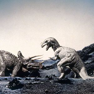 Bilder Eine Million Jahre vor unserer Zeit