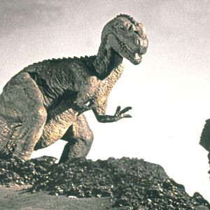 Bilder Eine Million Jahre vor unserer Zeit