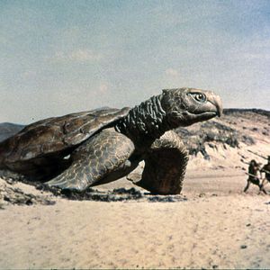 Bilder Eine Million Jahre vor unserer Zeit