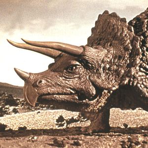 Bilder Eine Million Jahre vor unserer Zeit