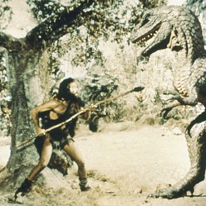 Bilder Eine Million Jahre vor unserer Zeit