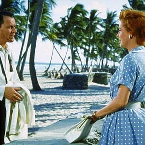 Bilder Eine Nummer zu groß