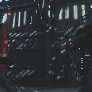 Bilder GallowWalkers