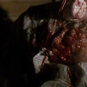 Bilder Astaron - Brut des Schreckens