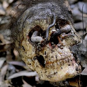 Bilder Nackt und zerfleischt