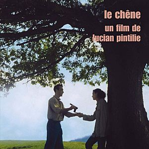 Bilder Baum der Hoffnung