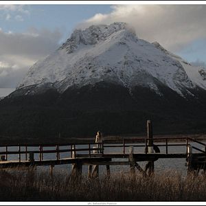 Bilder The German Doctor