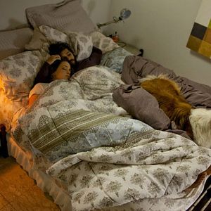 Bilder Der Dognapper - Auf den Hund gekommen