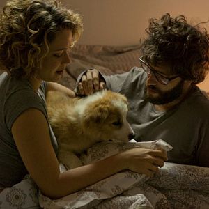 Bilder Der Dognapper - Auf den Hund gekommen