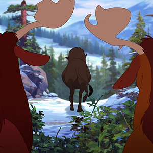 Bilder Bärenbrüder 2