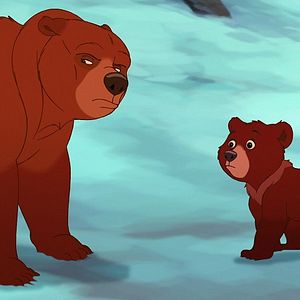 Bilder Bärenbrüder 2