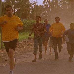 Bilder Die Jungfrau, die Kopten und ich