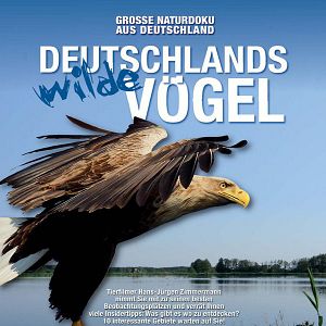 Bilder Deutschlands wilde Vögel