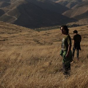 Bilder The Golden Dream