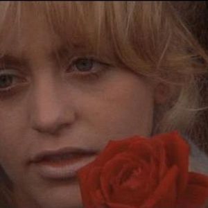 Bilder Sugarland Express