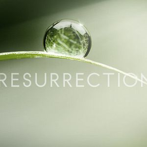 Bilder Resurrection