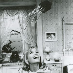 Bilder Maureen Flannigan