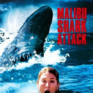 Bilder Shark Attack - Sie lauern in der Tiefe!