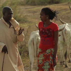 Bilder Tall As The Baobab Tree
