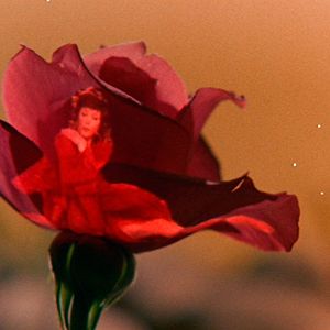 Bilder Der Kleine Prinz