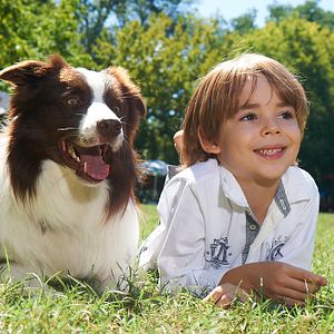 Bilder Mein Freund Max