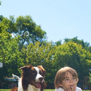 Bilder Mein Freund Max